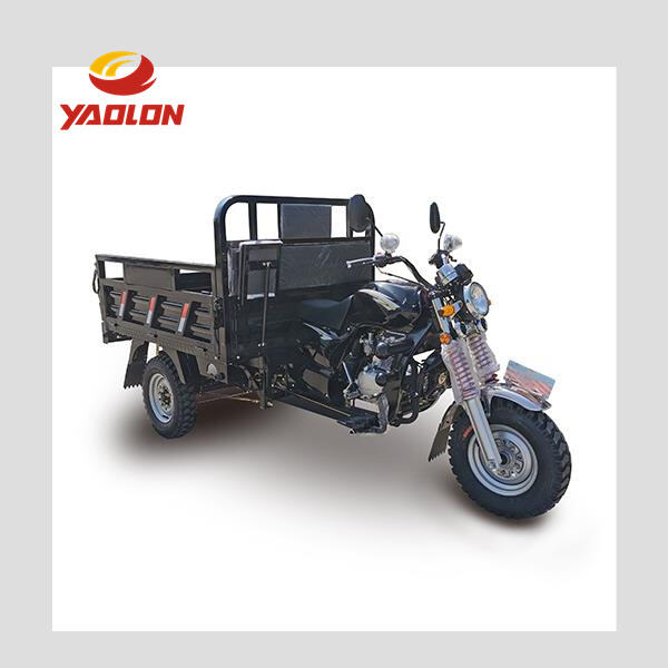 Maximize carrying capacity with the spacious Moto Cargo 300cc tricycle