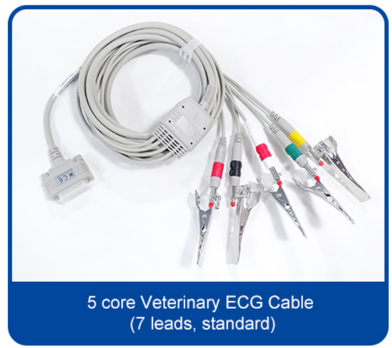 3 Channel 12 Lead Portable ECG Machine for Animal Veterinary Medicine EKG Device supplier