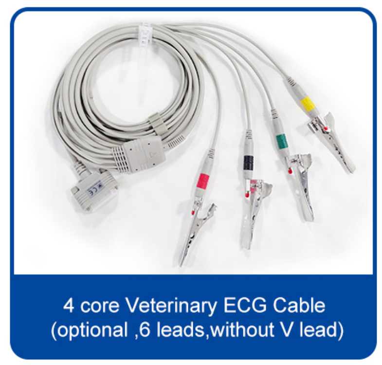 3 Channel 12 Lead Portable ECG Machine for Animal Veterinary Medicine EKG Device supplier