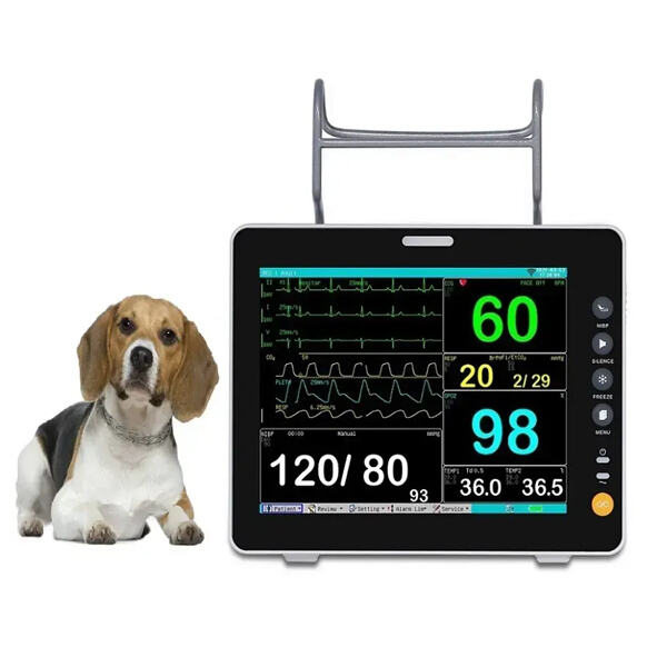 How a veterinary electrocardiograph monitors heart health in animals