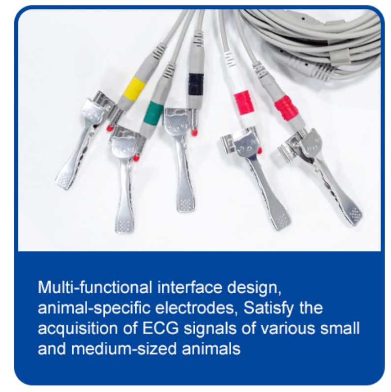 3 Channel 12 Lead Portable ECG Machine for Animal Veterinary Medicine EKG Device factory