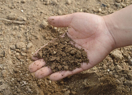 Compost Covers