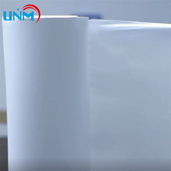 تصميم المباني والاستدامة باستخدام ممارسات خضراء لغشاء PTFE الهوائي