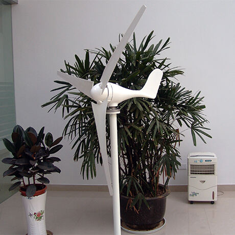 Equipped with a 500w wind controller for a British customer's wind turbine