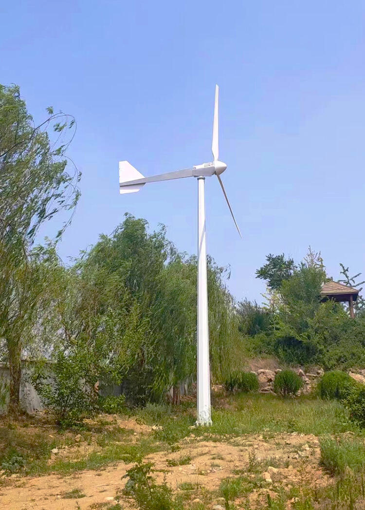 5KW Wind Turbine Wind Power Generation System supplier