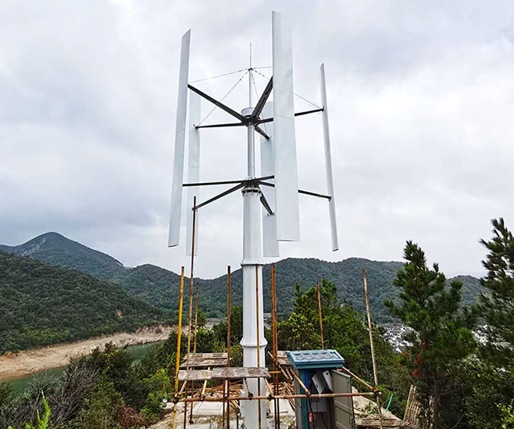 CE 1KW Home Small Vertical Wind Turbine for Europe supplier