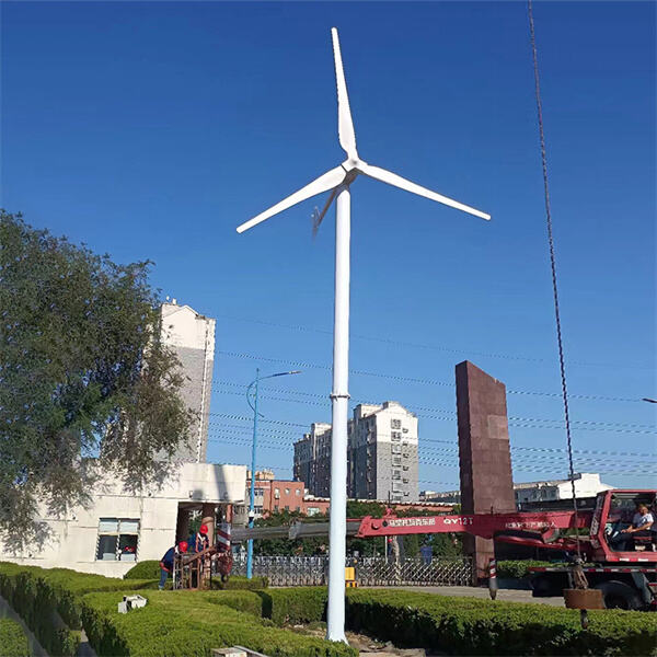The Evolution of Wind Mills