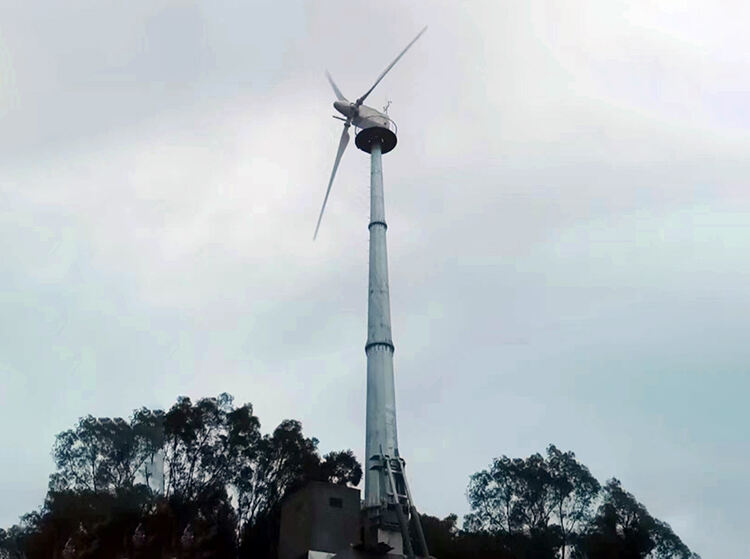 real power horizontal pitch control wind turbine 30kw-3