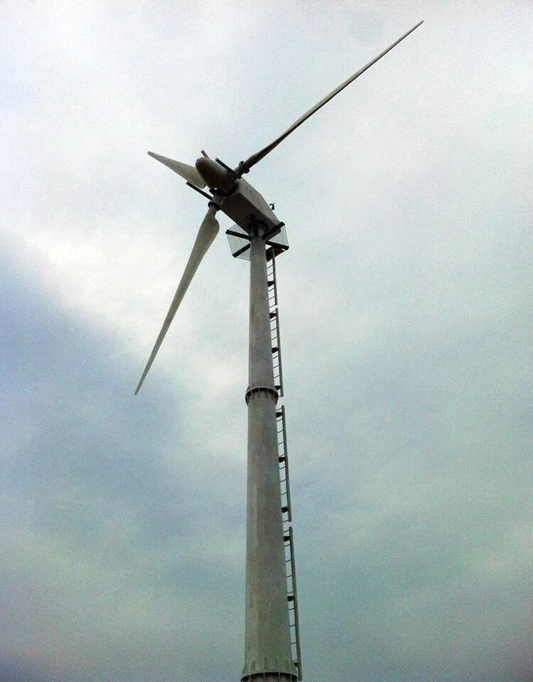 real power horizontal pitch control wind turbine 30kw-8