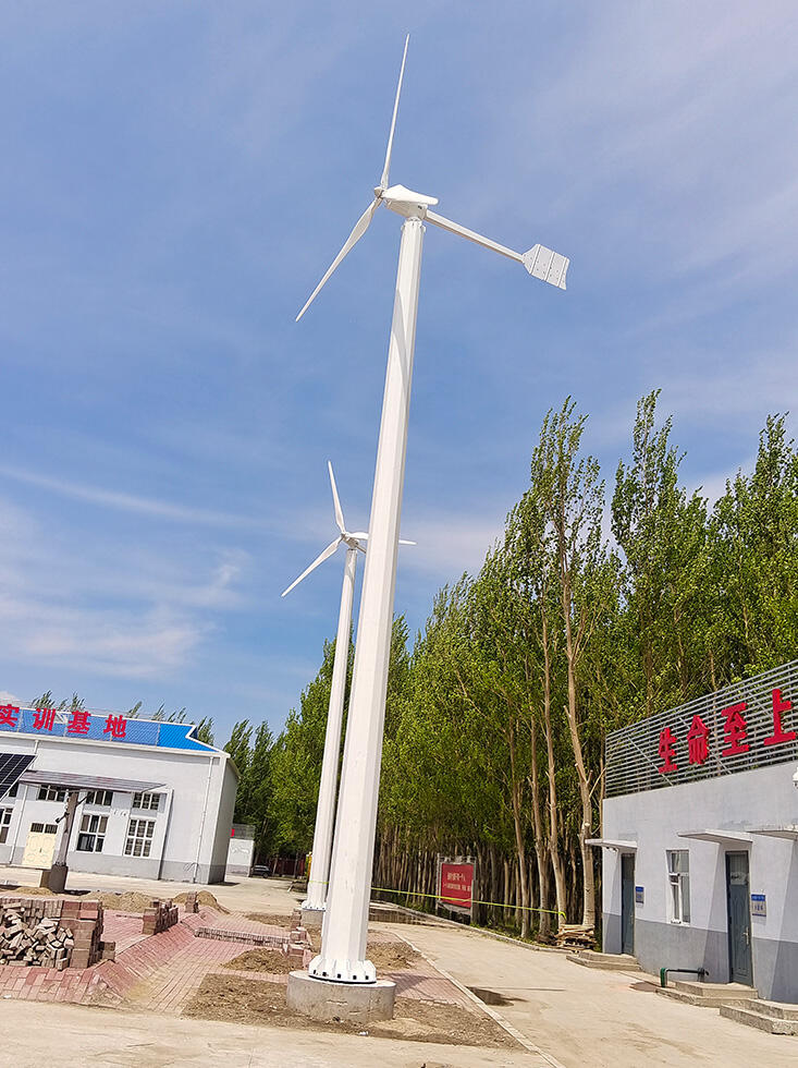 product real power 5kw 10kw 20kw horizontal axis wind turbine wind power generator for sale-59