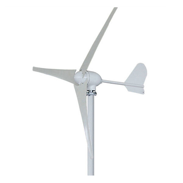 Turbina eolica