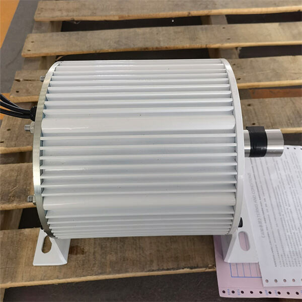 小規模発電における低回転数永久磁石発電機の効率を探る