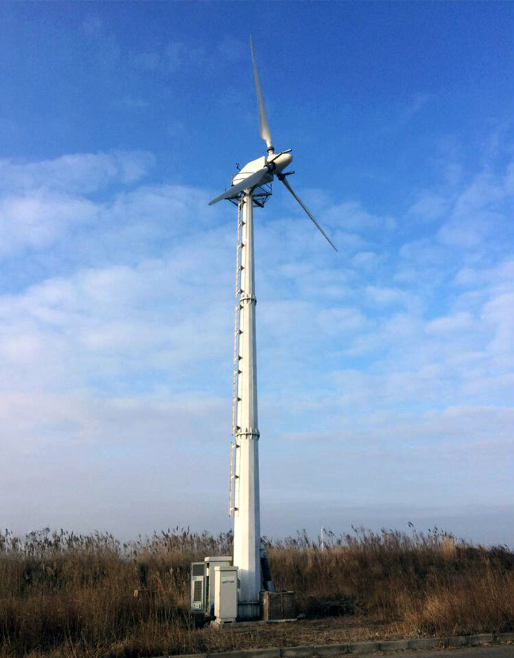 real power horizontal pitch control wind turbine 30kw-10