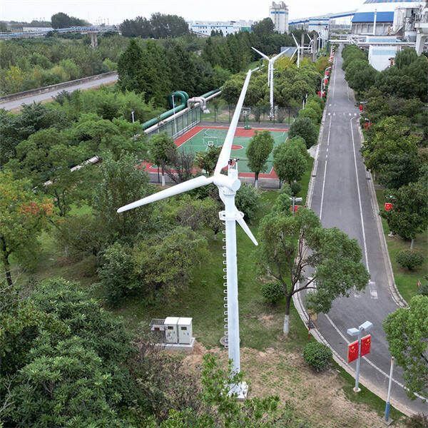 Wind Power Generators - The Pros and Cons