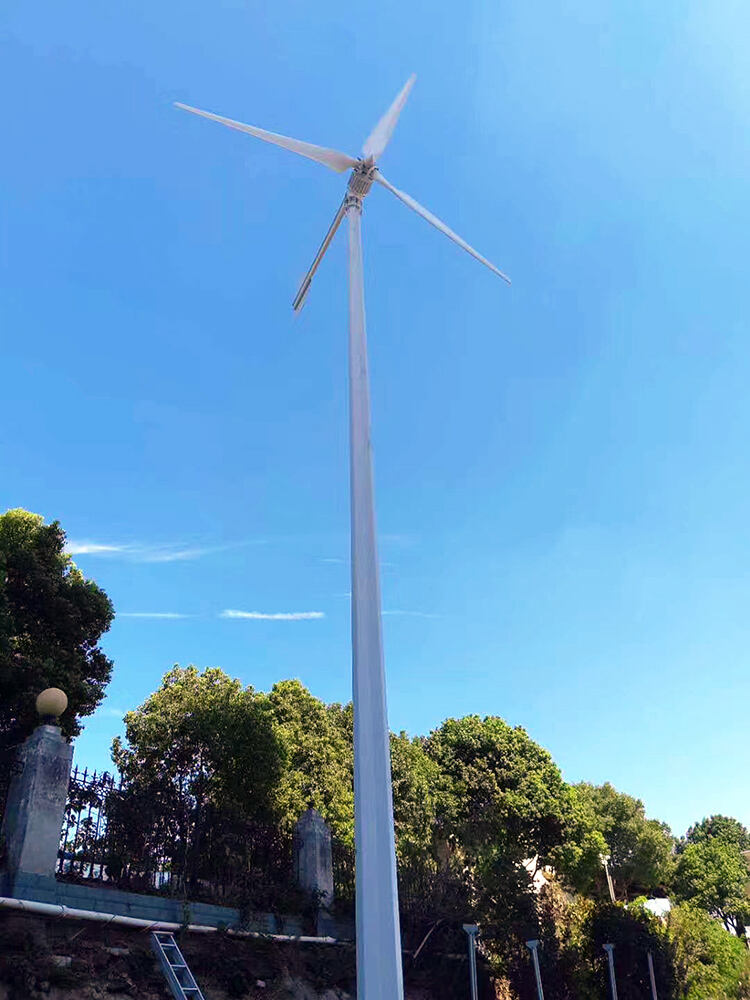 1KW 2KW 3KW 5KW 10KW Horizontal Wind Turbine supplier
