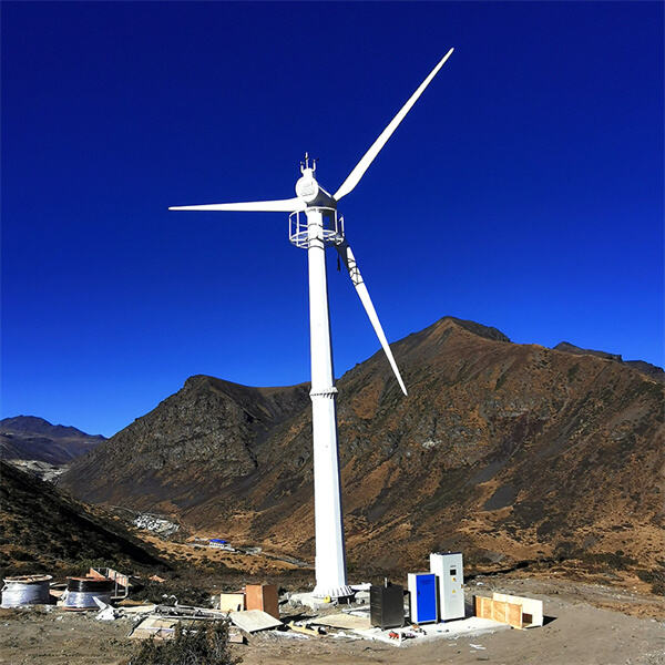 Embracing renewable energy with a house wind generator
