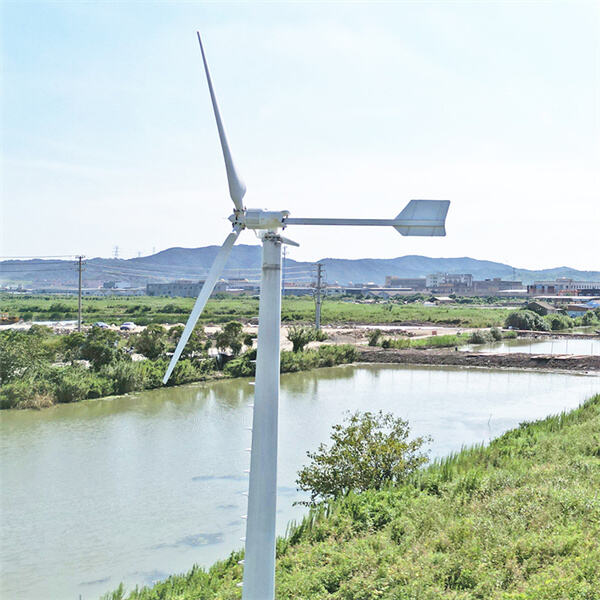 Maximizando los recursos de energía renovable con un generador eólico de 30kw