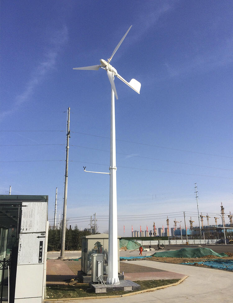 horizontal axis pitch control 5kw small wind mill turbine-5