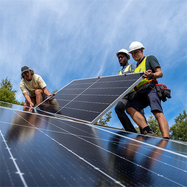 The environmental benefits of switching to PV panels for energy