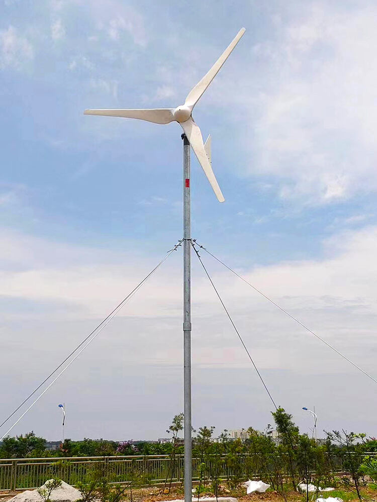 5KW Wind Turbine Wind Power Generation System details