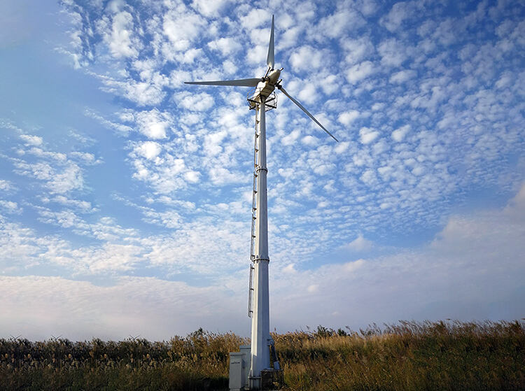 real power horizontal pitch control wind turbine 30kw-6