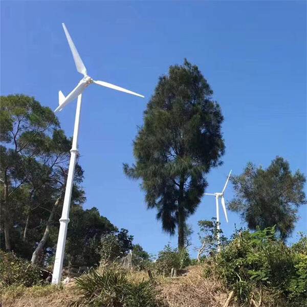 A Global Perspective on Wind Energy Technology