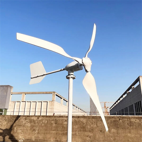 Exploring the Potential of 1kw Wind Turbines