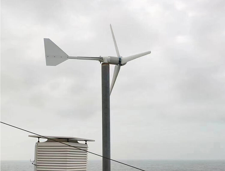 5KW Wind Turbine Wind Power Generation System manufacture