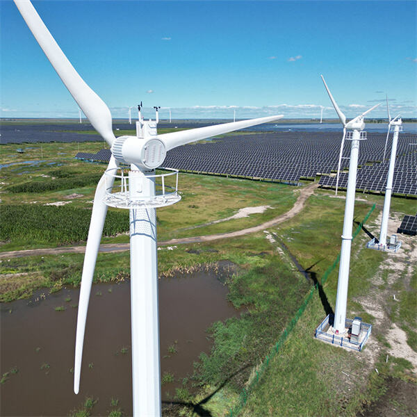 The Benefits of Solar and Wind Generator Systems
