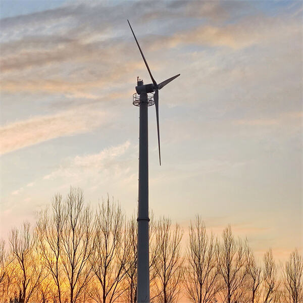 Say goodbye to high electricity bills with a wind generator for your home