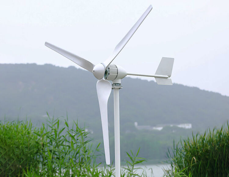 100W 200W 300W 400W Horizontal Small Wind Turbine Generator supplier