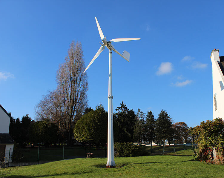horizontal axis pitch control 5kw small wind mill turbine-2