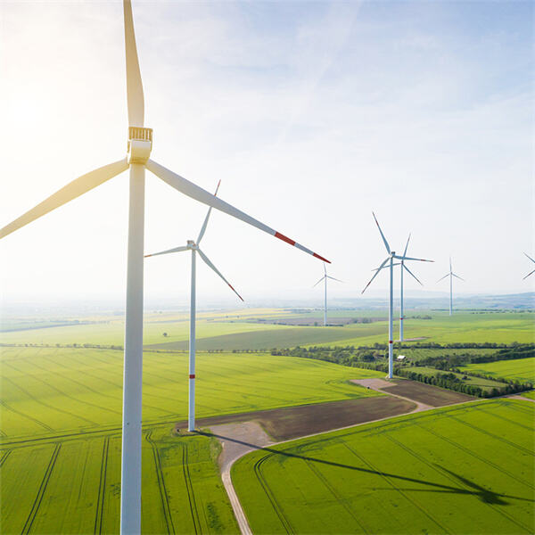 Wind and Living Sustainable Life