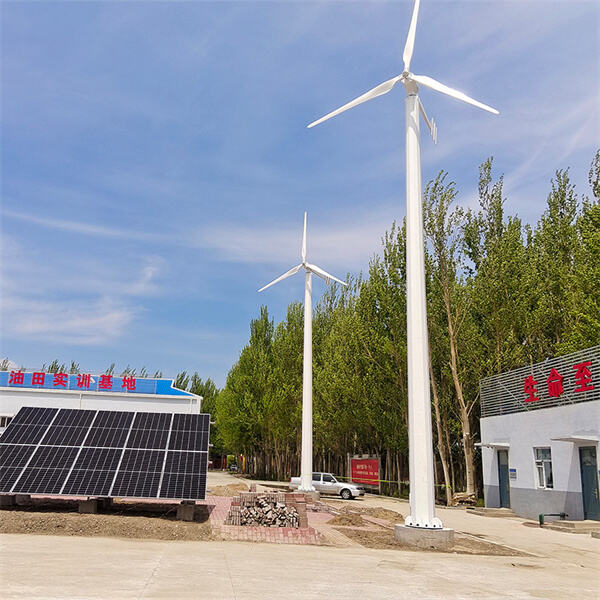 Reducing carbon emissions with solar and wind technology