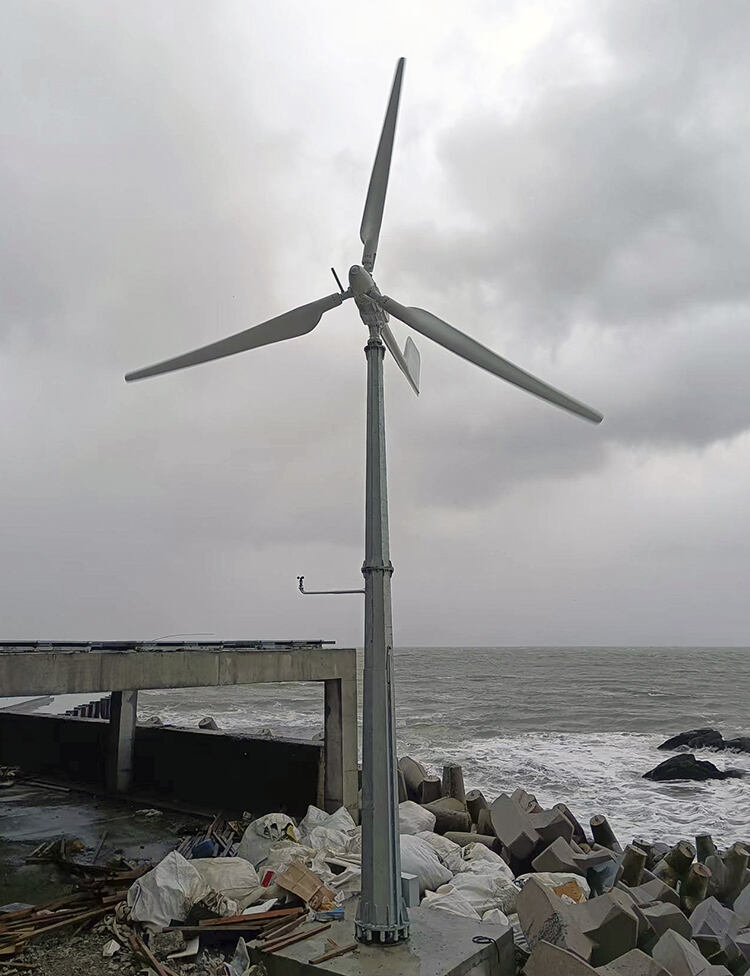 horizontal axis pitch control 5kw small wind mill turbine-9
