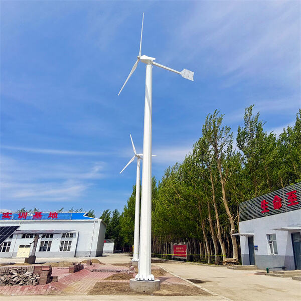 10kw 풍력 터빈의 놀라운 능력