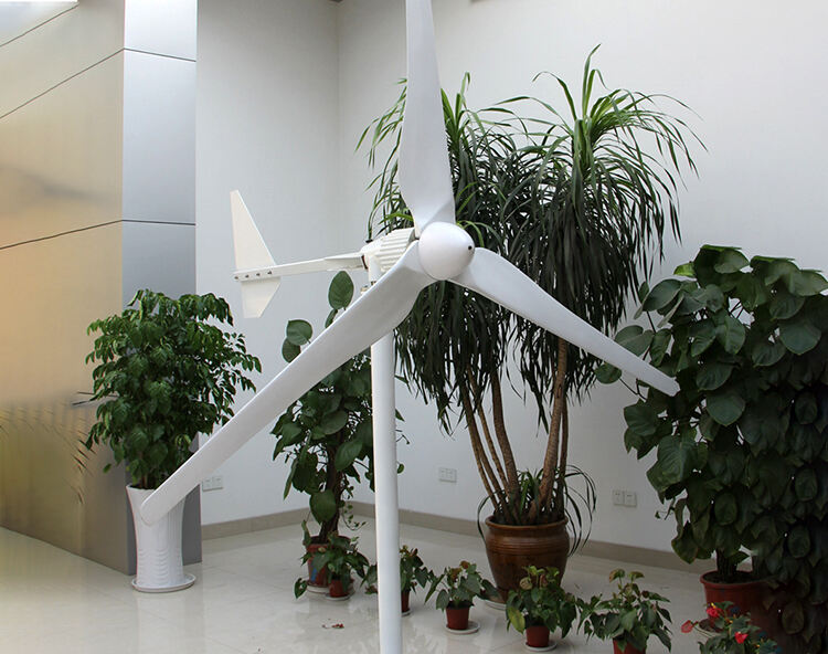 1KW 2KW 3KW 5KW 10KW Horizontal Wind Turbine manufacture