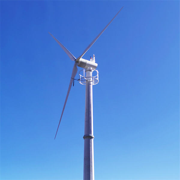 A sustainable solution for a greener future.
