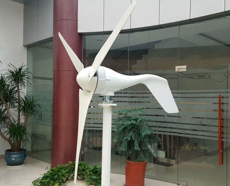 100W 200W 300W 400W Horizontal Small Wind Turbine Generator manufacture