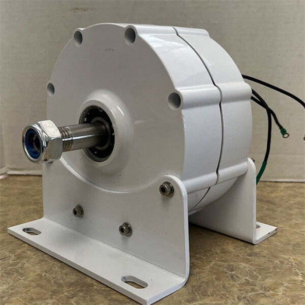 Exploring the versatility of a 48v permanent magnet generator in various energy systems