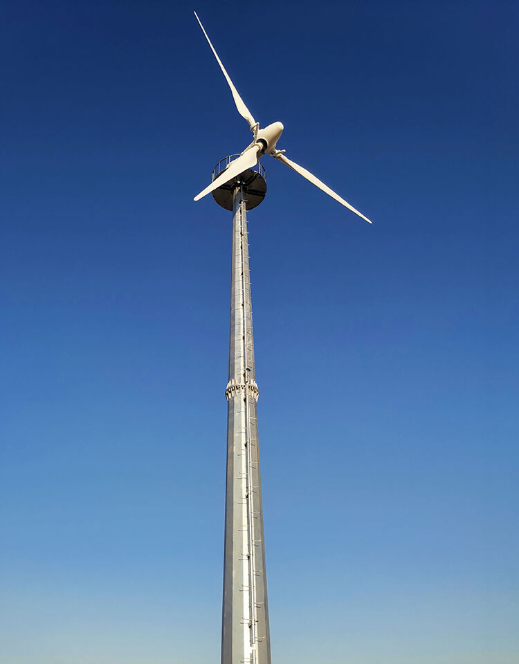 real power horizontal pitch control wind turbine 30kw-4