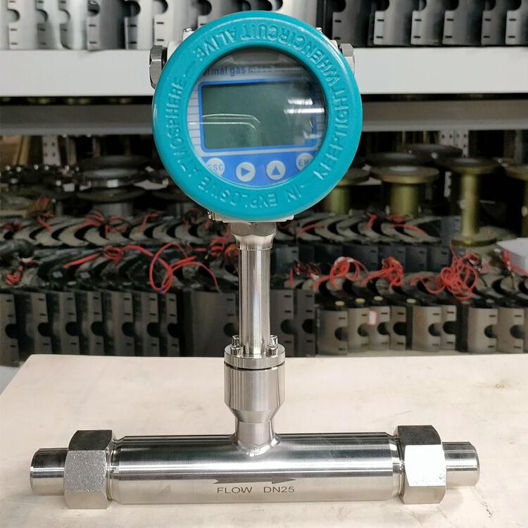 Micro thermal gas mass flow meter with RS485 MODBUS high Precision Gas Mass Flow Meter Gas Mass Flow Regulator manufacture