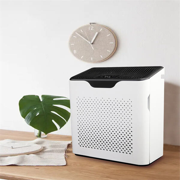 Say goodbye to indoor allergens with hepa air.