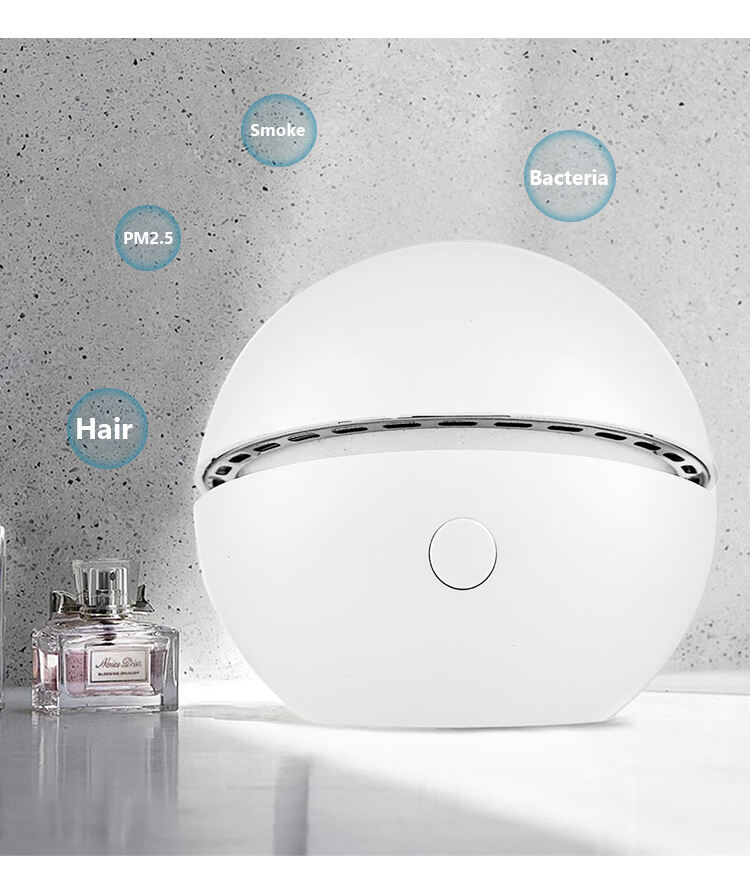 Creative Portable Usb Rechargeable Ionization Mini Air Purifier Suitable For Home Refrigerator Room Pet Toilet manufacture
