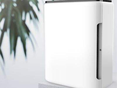 The Link Between Air Purifiers and Mental Clarity