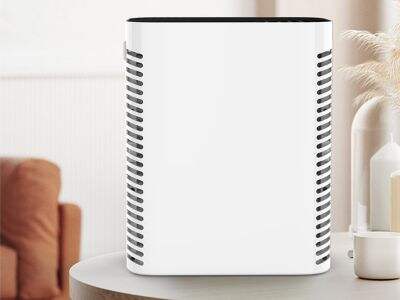 What Happens When You Dont Replace Your Air Filter?