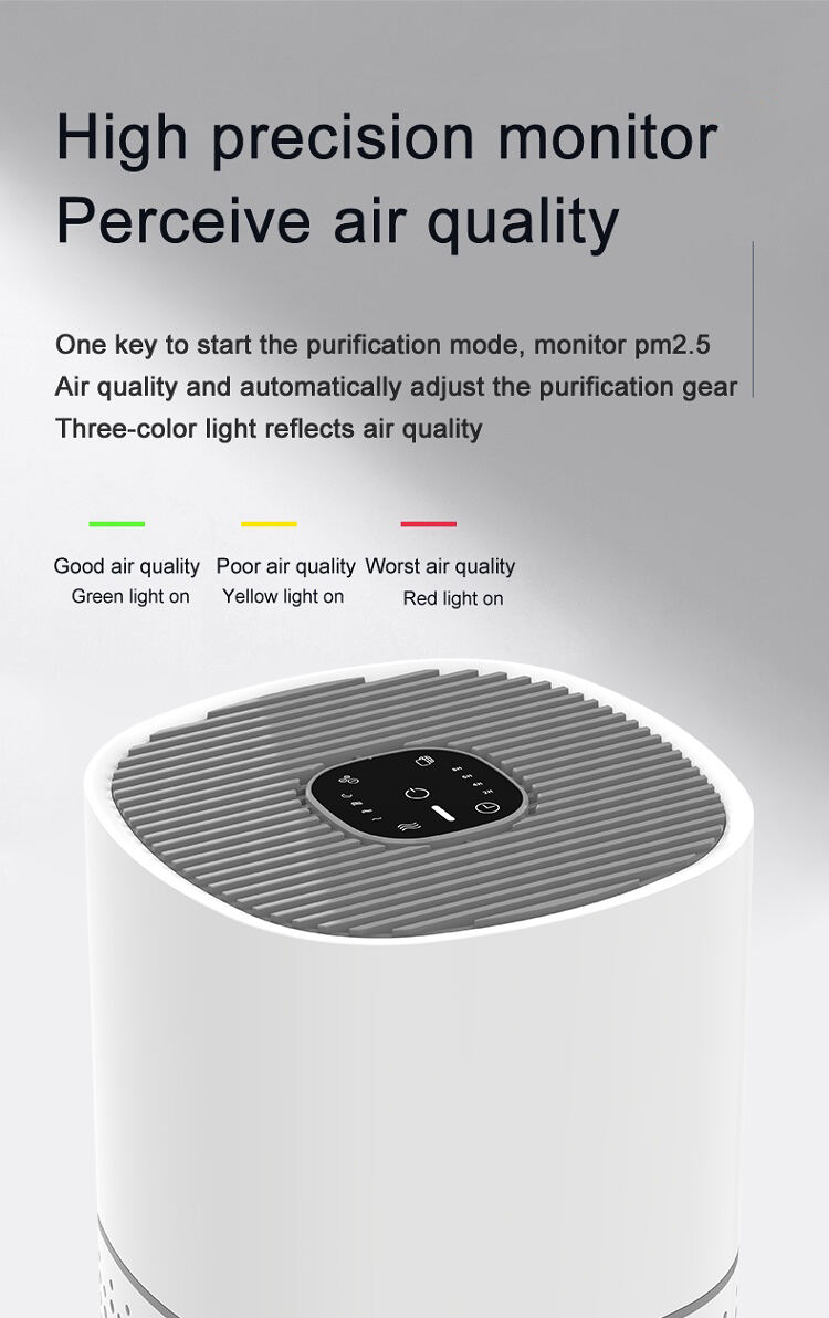 Experience Pure Air with High-Quality negative ion Air Purifiers touch screen 8 hours timer supplier