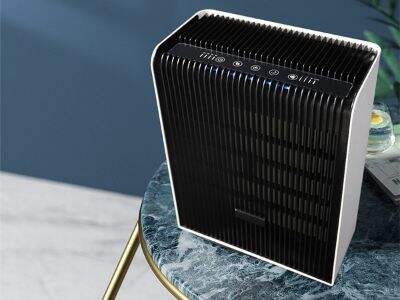 The Impact of Air Filters on Respiratory Health