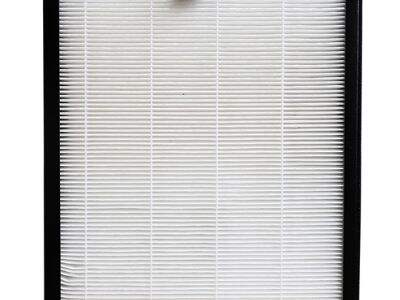 ¿Puede un purificador de aire ayudar con las alergias estacionales?