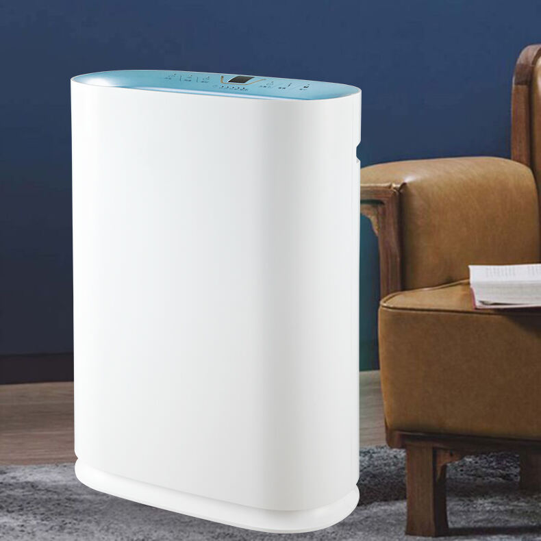 2021 Factory Wholesale Multi-Function Portable Home Mini Room Air Purifiers details